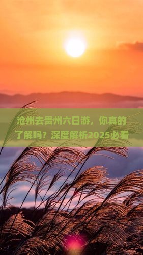 沧州去贵州六日游