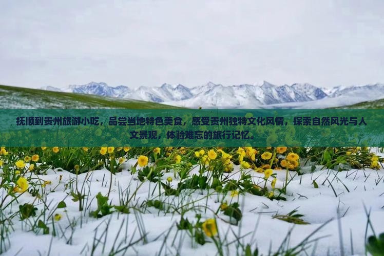 抚顺到贵州旅游小吃