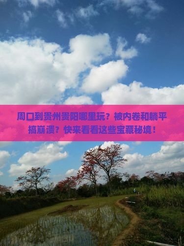 周口到贵州贵阳哪里玩