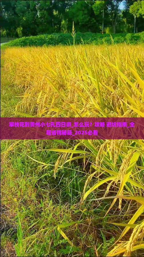 攀枝花到贵州小七孔四日游