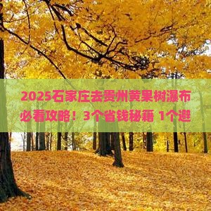 石家庄去贵州黄果树瀑布攻略