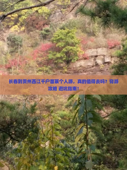 长春到贵州西江千户苗寨个人游