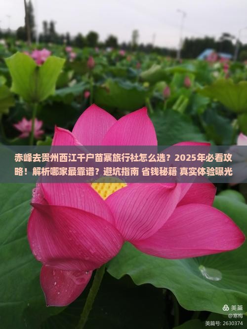 赤峰去贵州西江千户苗寨旅行社