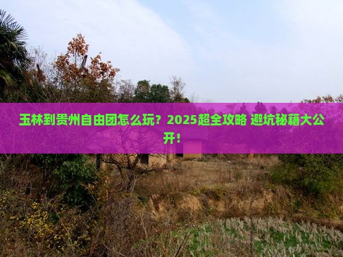 玉林到贵州自由团