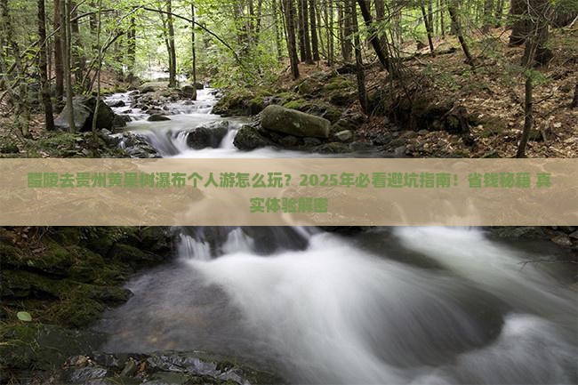 醴陵去贵州黄果树瀑布个人游