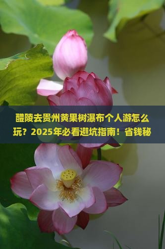 醴陵去贵州黄果树瀑布个人游