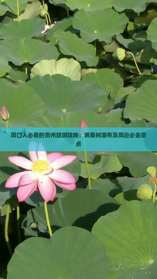 周口去贵州黄果树瀑布必去地