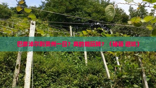 巴彦淖尔到贵州一日