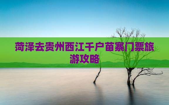 菏泽去贵州西江千户苗寨门票