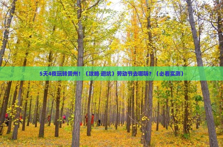 劳动节到贵州必去地