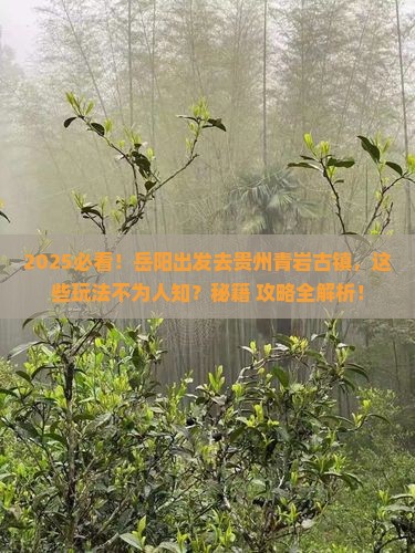 岳阳到贵州青岩古镇哪里玩