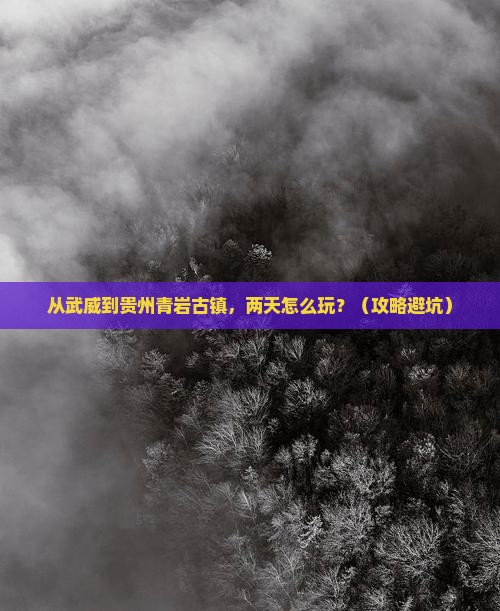 武威到贵州青岩古镇二日游