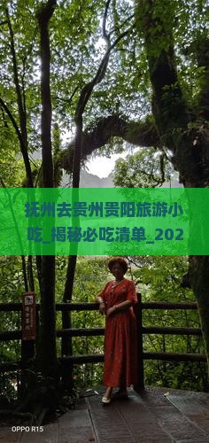 抚州去贵州贵阳旅游小吃