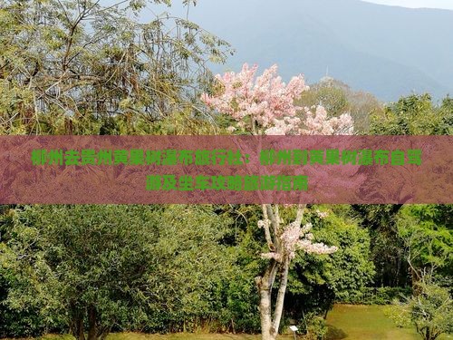 柳州去贵州黄果树瀑布旅行社