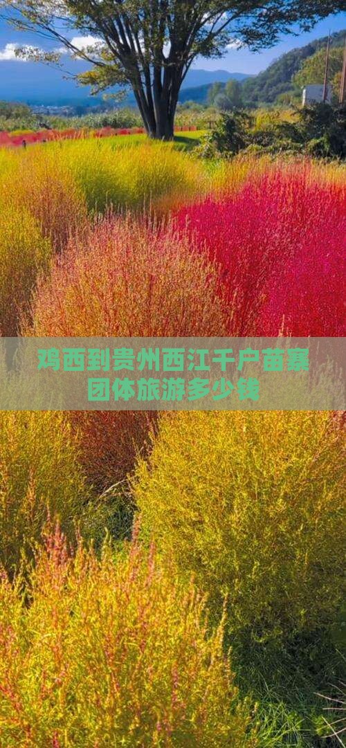 鸡西到贵州西江千户苗寨团体旅游