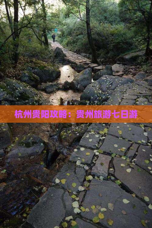 杭州去贵州贵阳七日游