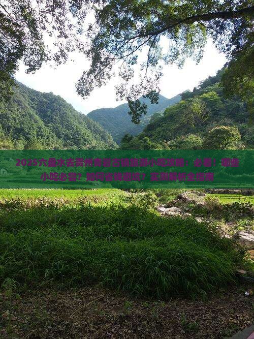 六盘水去贵州青岩古镇旅游小吃