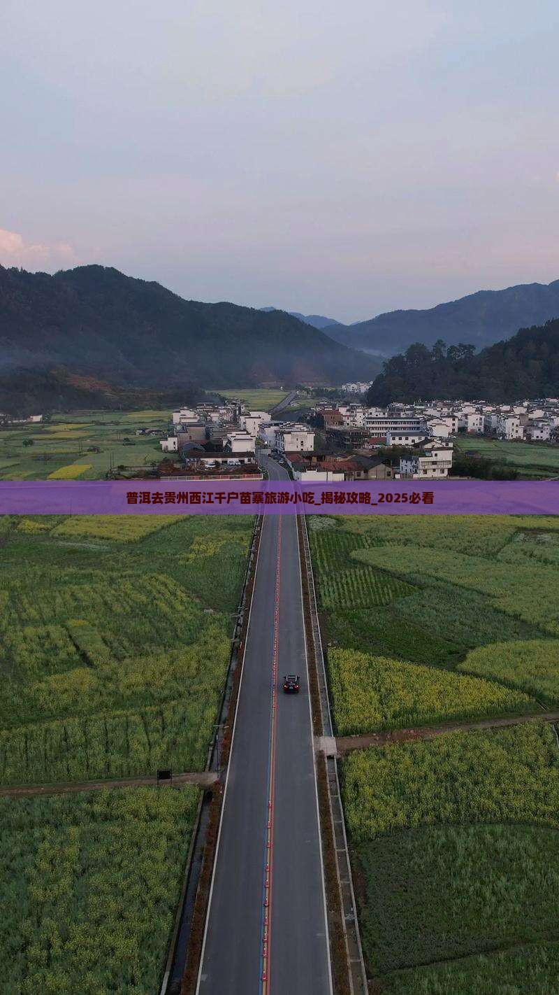 普洱去贵州西江千户苗寨旅游小吃