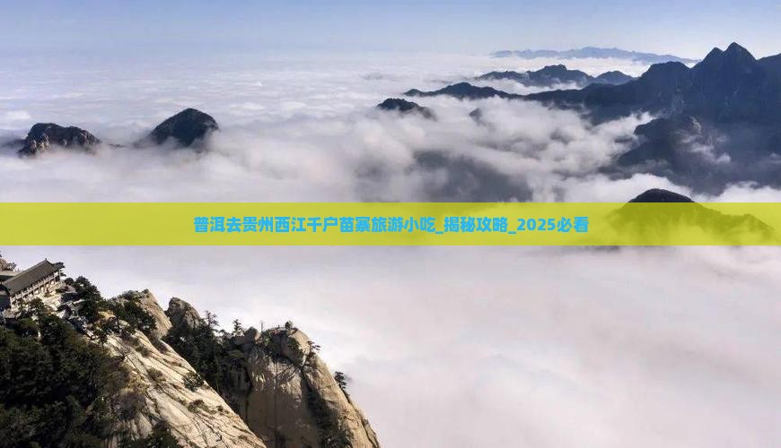 普洱去贵州西江千户苗寨旅游小吃