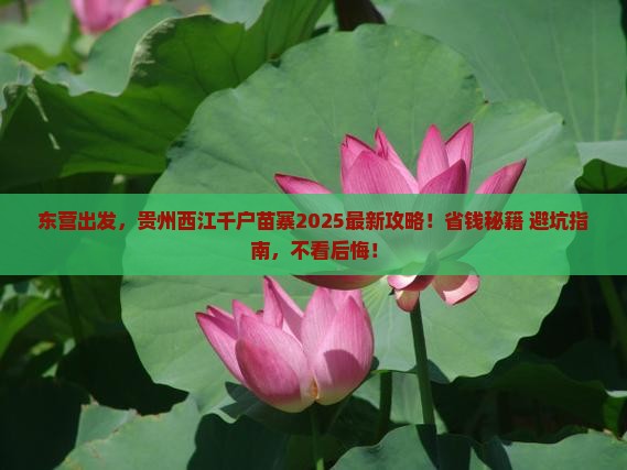 东营去贵州西江千户苗寨景点
