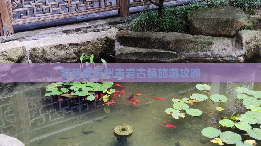 莱芜去贵州青岩古镇个人游