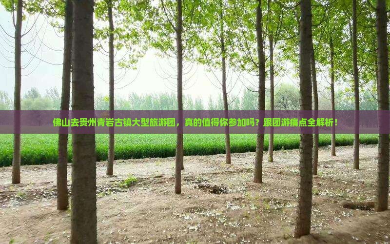 佛山去贵州青岩古镇大型旅游团