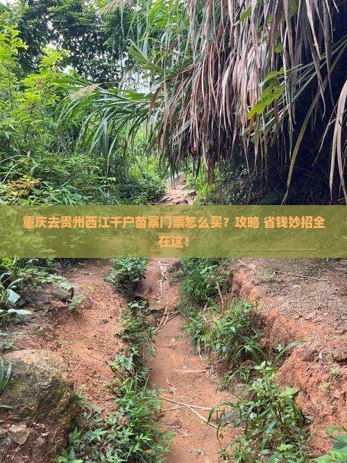 重庆去贵州西江千户苗寨门票