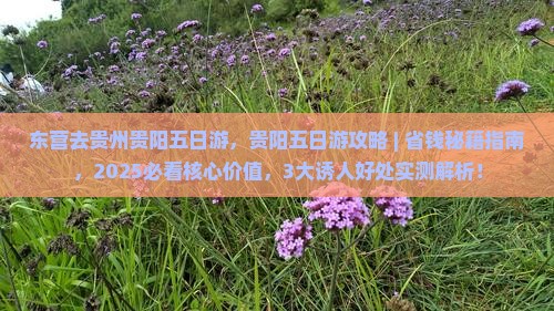 东营去贵州贵阳五日游