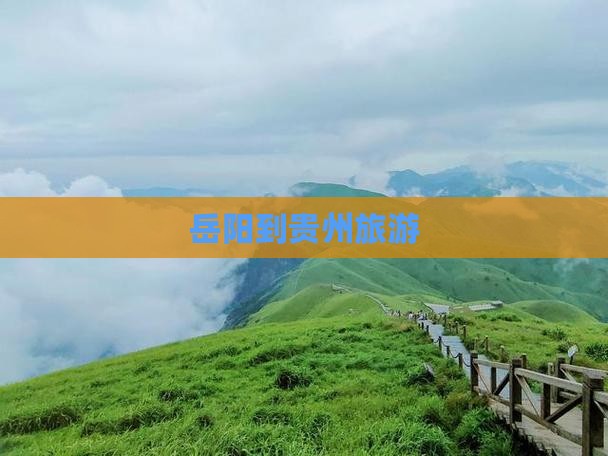 岳阳到贵州旅游