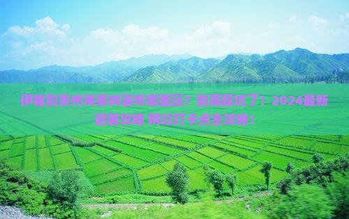 伊春到贵州黄果树瀑布哪里玩