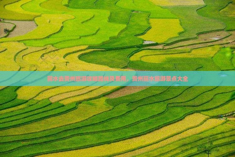 丽水去贵州旅游