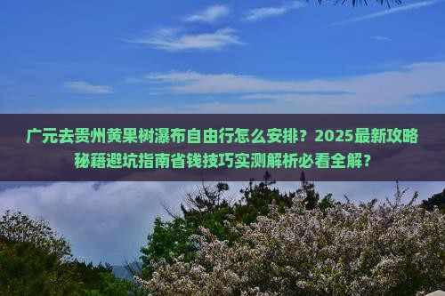 广元去贵州黄果树瀑布自由行