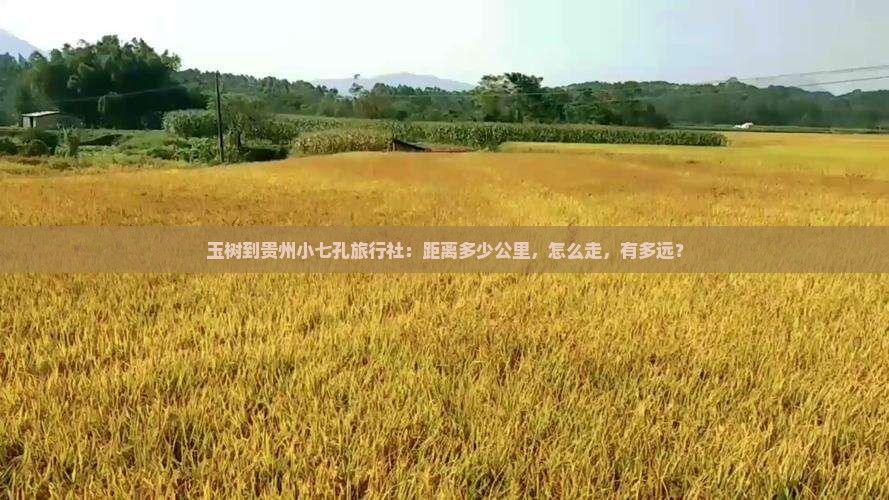 玉树到贵州小七孔旅行社