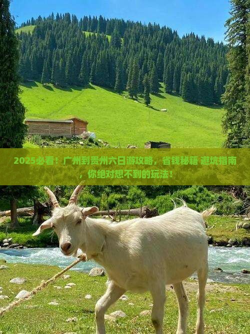 广州到贵州六日游