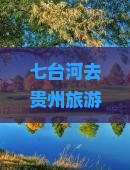 七台河去贵州旅游小吃