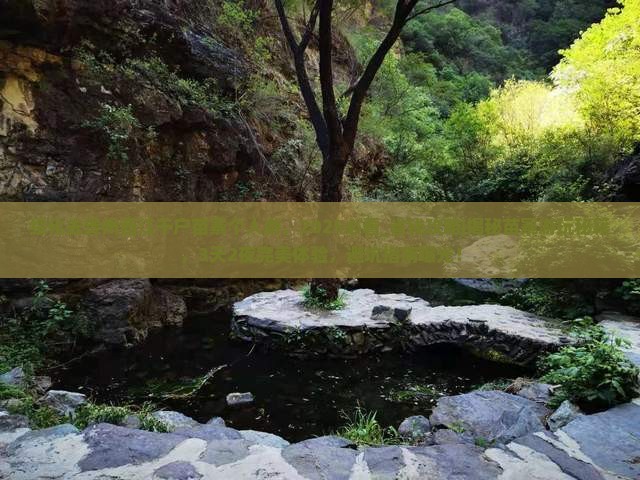 绥化去贵州西江千户苗寨个人游