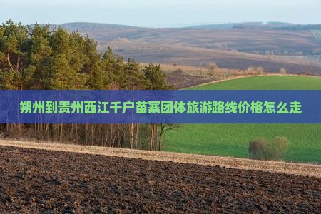 朔州到贵州西江千户苗寨团体旅游