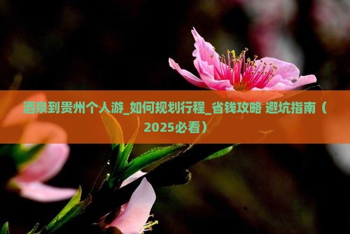 酒泉到贵州个人游