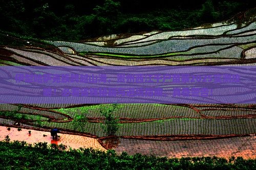 伊犁哈萨克到贵州西江千户苗寨景点