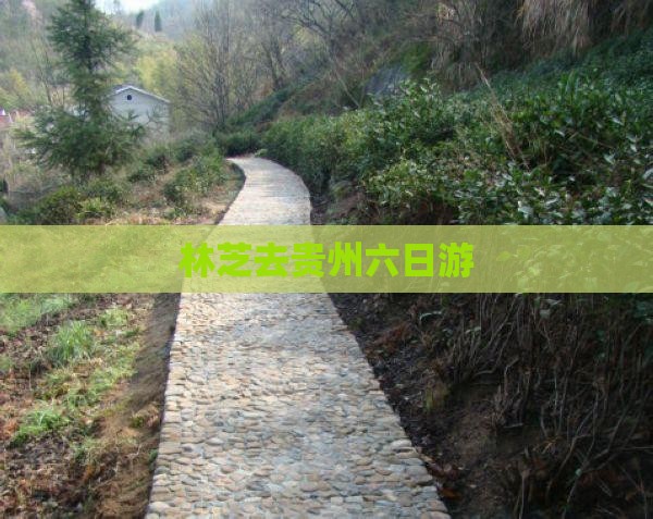 林芝去贵州六日游