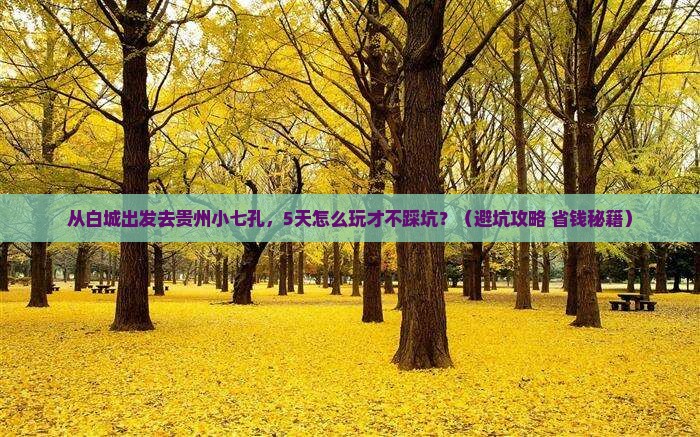 白城去贵州小七孔自由行