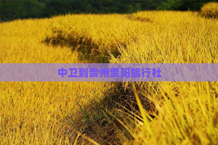 中卫到贵州贵阳旅行社