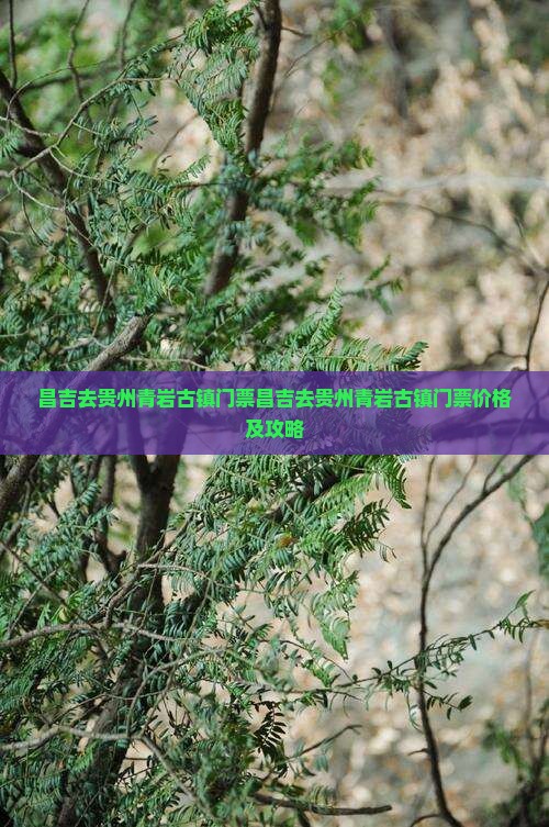 昌吉去贵州青岩古镇门票