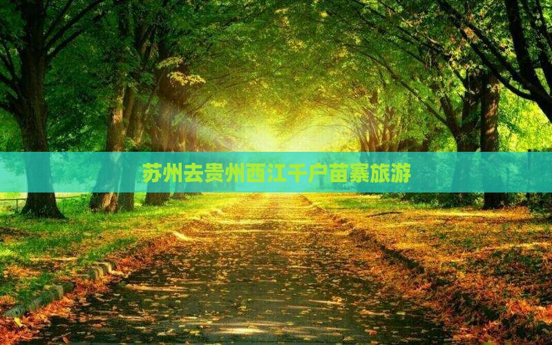 苏州去贵州西江千户苗寨旅游