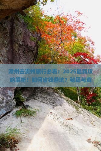 漳州去贵州旅行社