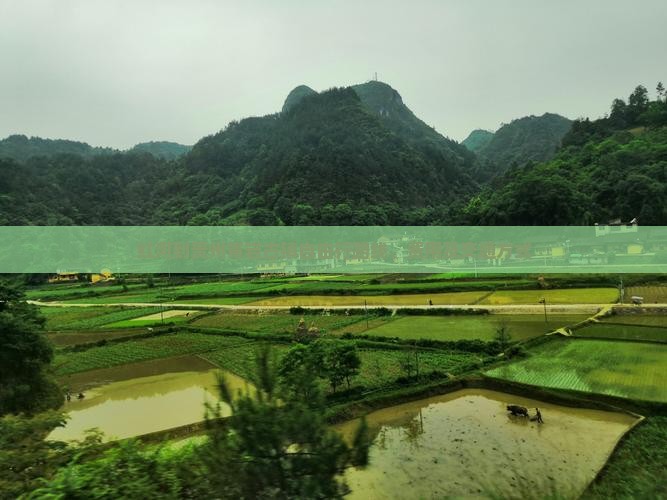 红河到贵州青岩古镇自由行
