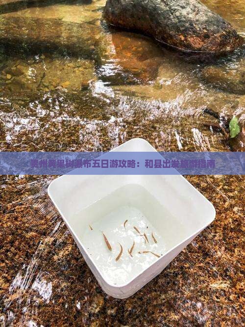和县去贵州黄果树瀑布五日游