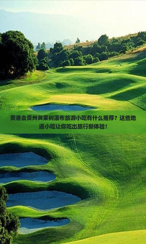 贵港去贵州黄果树瀑布旅游小吃