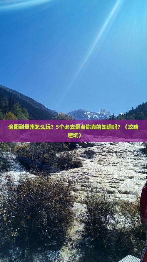 洛阳到贵州旅行社