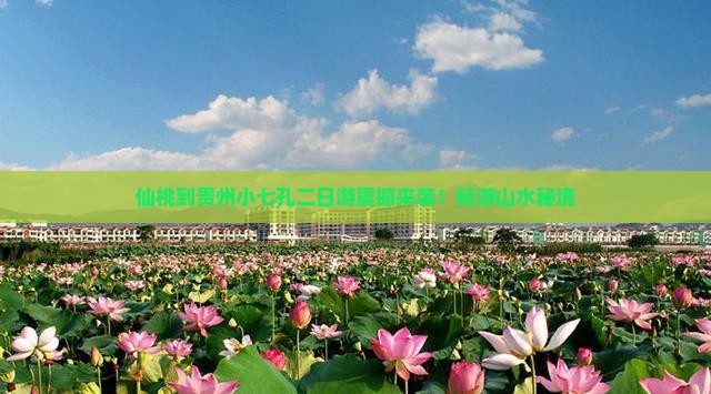 仙桃到贵州小七孔二日游
